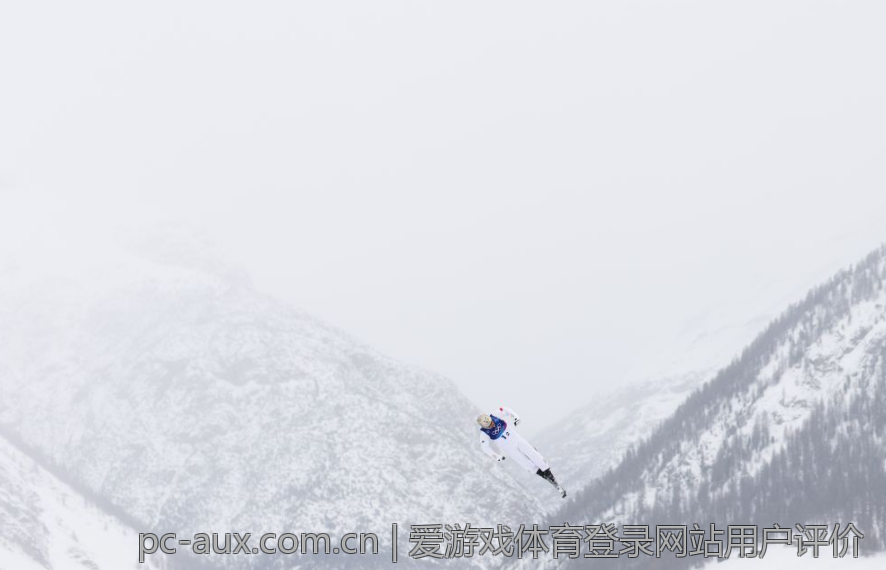 爱游戏体育登录网站用户评价