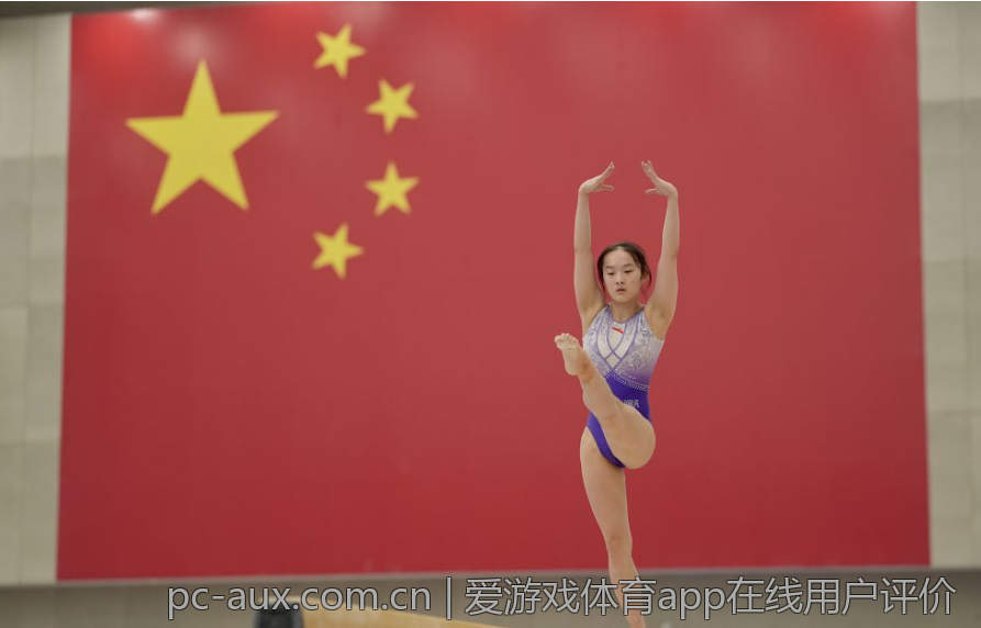 爱游戏体育app在线用户评价