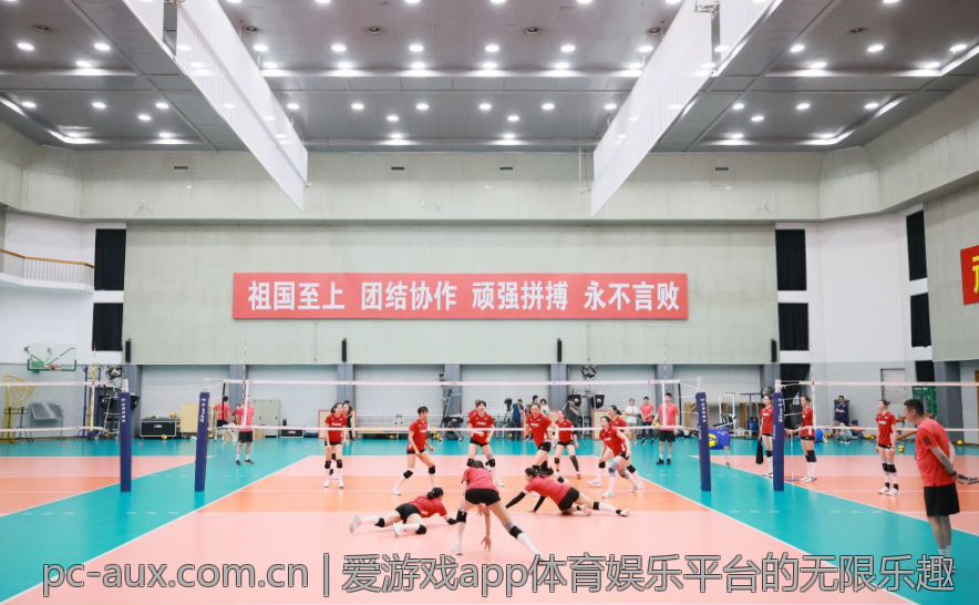 爱游戏app体育娱乐平台的无限乐趣